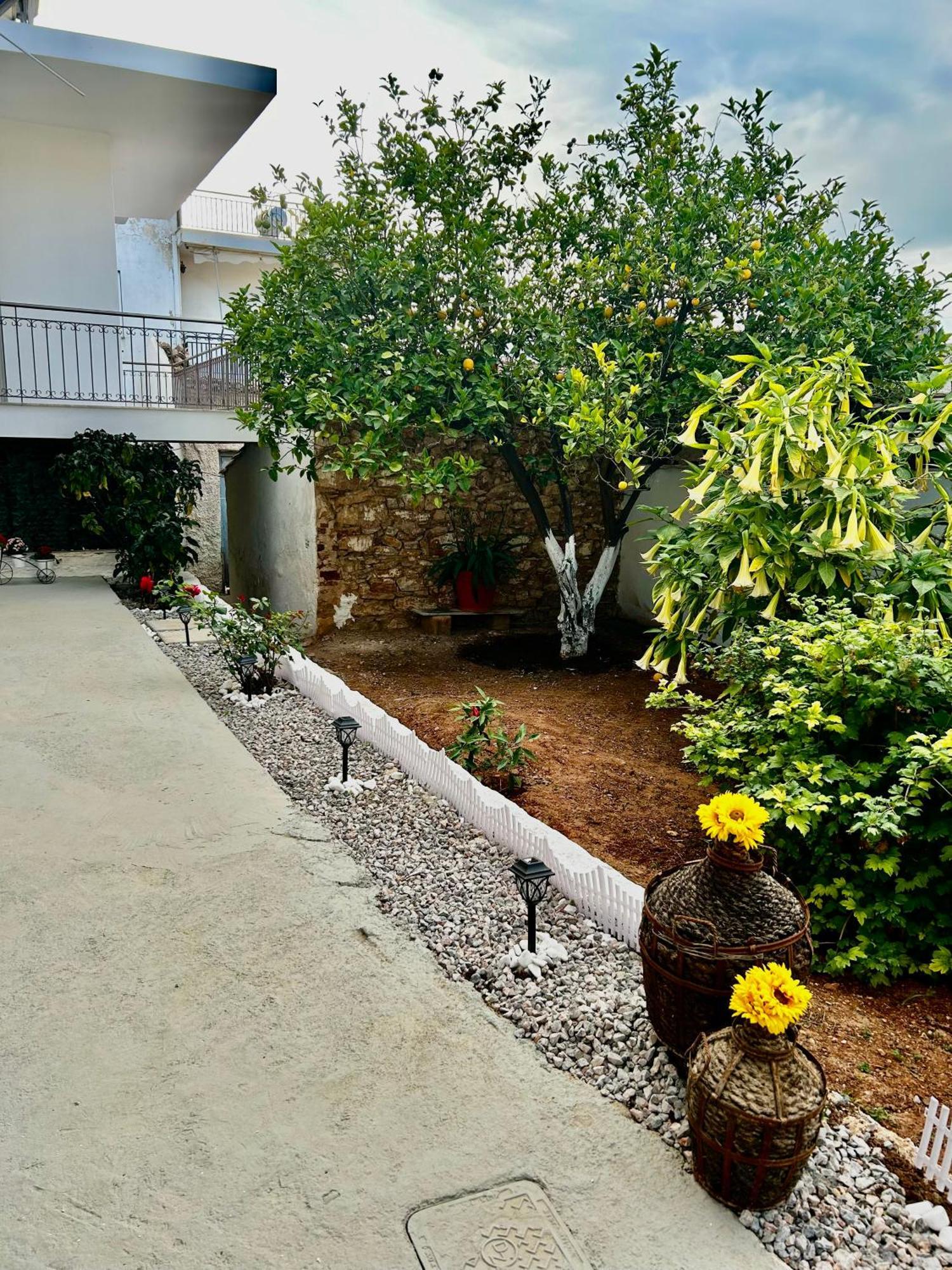 Flower House In Koropi-Near Airport Kültér fotó
